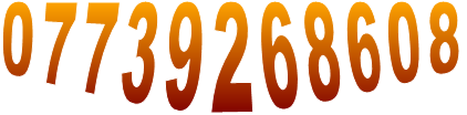 07739268608